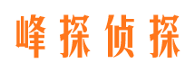 虞城出轨调查